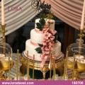 Dilara & Ahmet - 180706