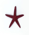 Deniz Yıldızı - 16591